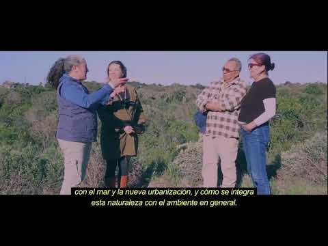 Psamólifo Costa Azul - PGLSA