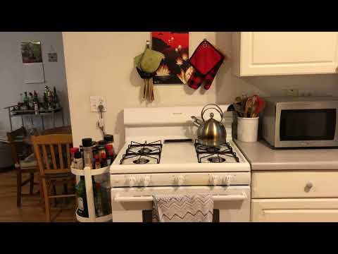 4817 N Wolcott Ave #4817-2B - Video 5 of 5