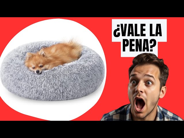 Vídeo relacionado con Feandrea Sofá para Perro, Cama para Mascota, Redonda, 55 cm, GIRS PGW55G