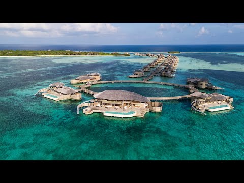 Video: l'Isola del Tesoro Scivolare in un Sogno