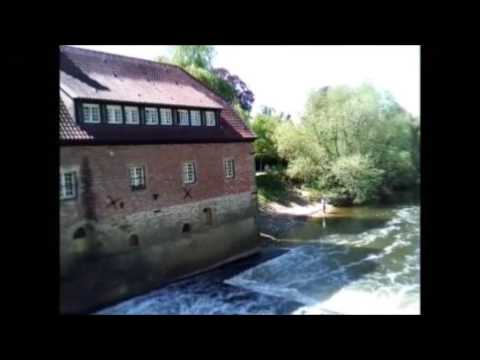 download lagu mp3 mp4 Komm Auf Die Wiese Luise, download mp3 Komm Auf Die Wiese Luise free download, download mp3 Komm Auf Die Wiese Luise