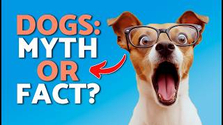 DOG MYTHS BUSTED! 🐶🫢 Things Dogs CAN & CAN'T Do