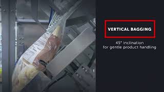 Vision 3000 Vegatronic
