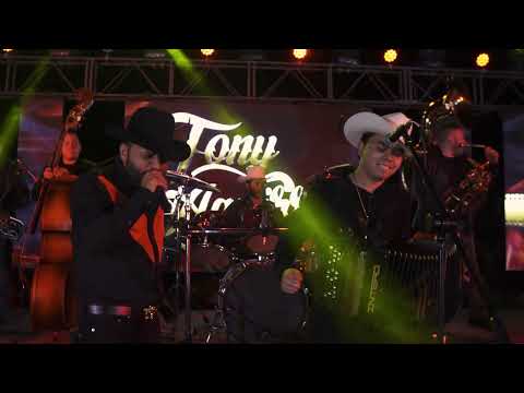 Tony Aguirre, La Receta - Gatos [En Vivo 2023]