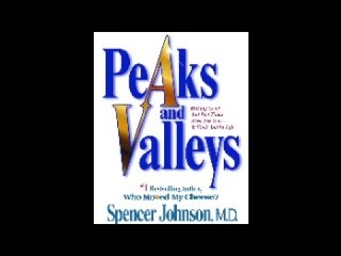 The Truth About Wealth, Happiness & Success (Peaks & Valleys Summary)