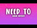 Gavin Adcock Need To Lyrics