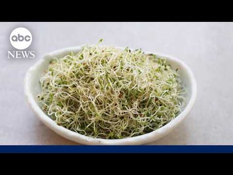Food safety reality check: What’s safe to eat?
