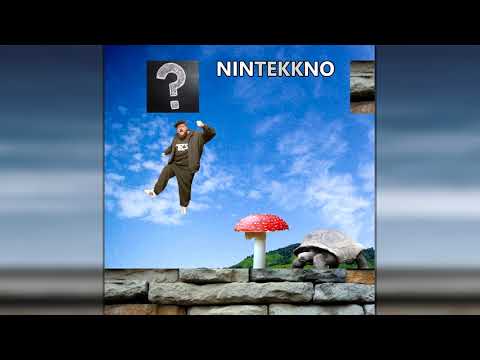 The Belgian Stallion - Nintekkno