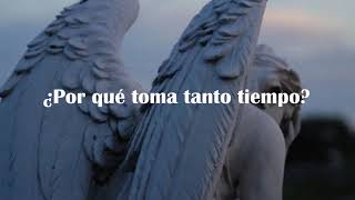 Cage the Elephant - Halo [Sub. Español]