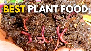The Best Fertilizer on Earth You Can Make at Home