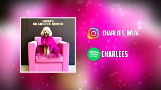 Die Prinzen - Hasso (Mein Hund Ist Schwul) Charlees Remix