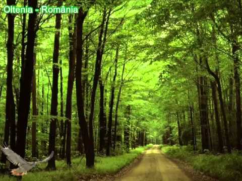 Iancu Jianu - balada, versiunea originala