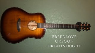 Video thumbnail for Breedlove Oregon Dreadnought by Dustin Rose