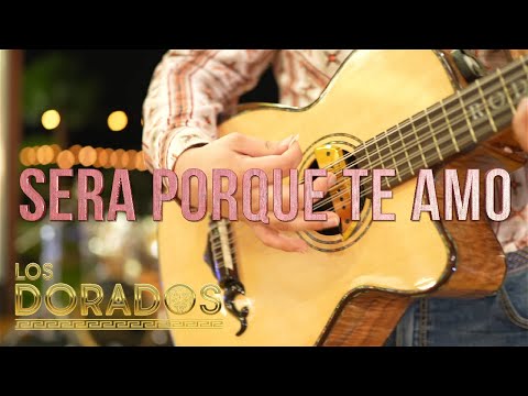 Los Dorados - Será Porque Te Amo ft. Angelina Victoria (En Vivo)