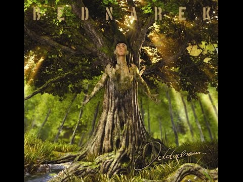 Bednarek - Oddycham (official audio)