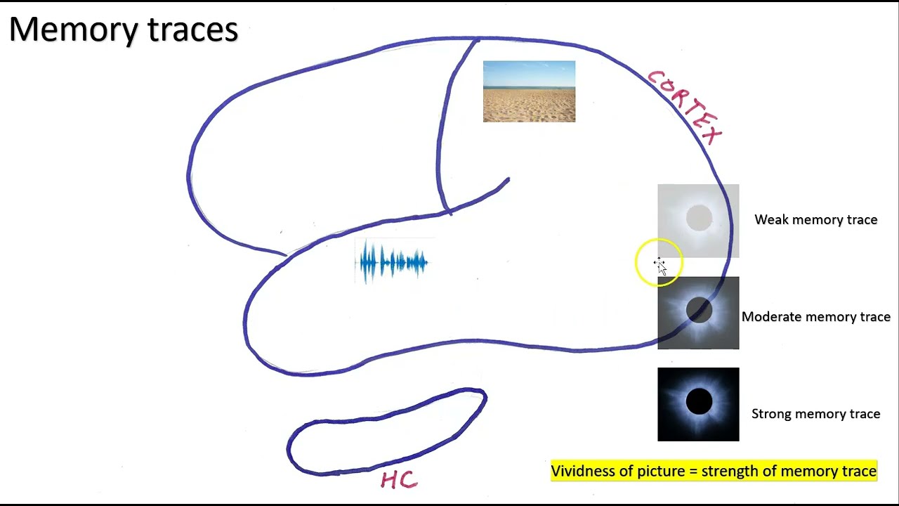 Making an episodic memory of a solar eclipse... part 1... introducing the memory trace