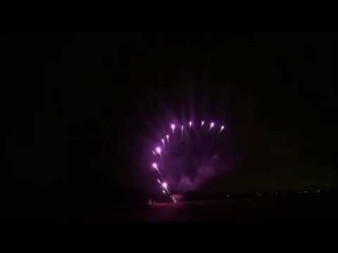 SCSR09 - 13s 'Z' shape Purple Butterfly Slice