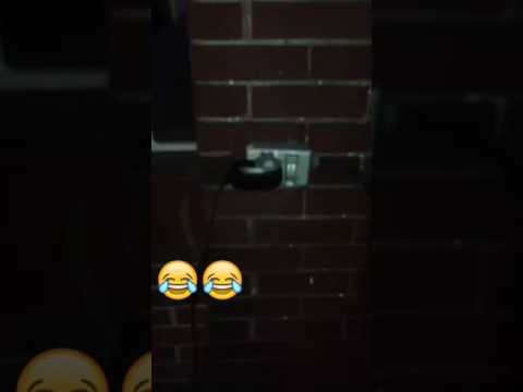 Richi Rasta In The City