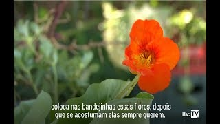 Miniatura do vídeo
