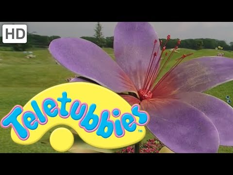 Teletubbies: Colours: Purple - Full Episode