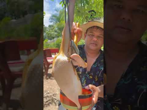 របៀបធ្វើទាខ្វៃមានរស់ជាតិឆ្ងាញ់ពិសា/ Peking roasted duck recipe