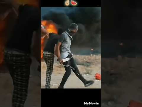 Freedom dance🍉 Leave palestine #palestine #freepalestine #ytshorts #shorts