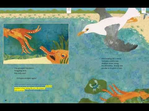 HMH Read Aloud | Octopus Escapes Again! - 3rd grade