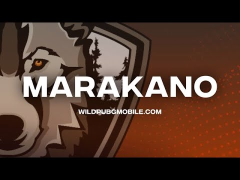 Кастомки от MARAKANO