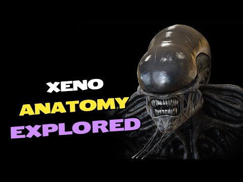 Xenomorph Anatomy Explored