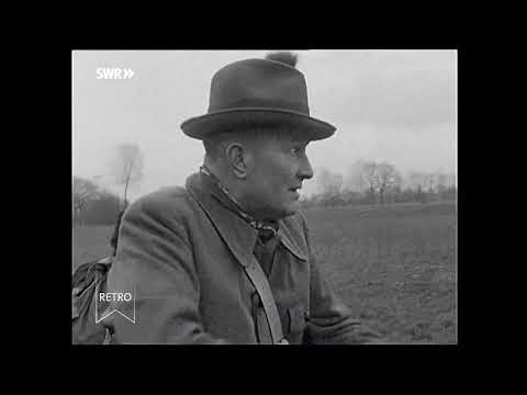 Eine Treibjagd aus dem Jahr 1957