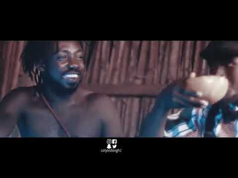 OFFICIAL VIDEO-COTYLEDON MEDI FT DARE X KOOKO
