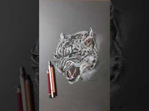 Proces 