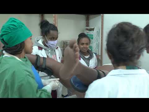 Victoria Birth Simulator