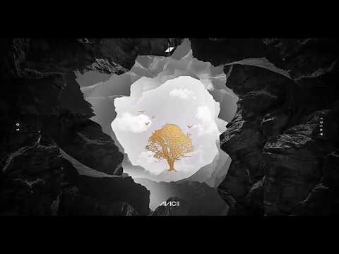 Avicii - Without You ft  Sandro Cavazza - lyrics (acoustic)