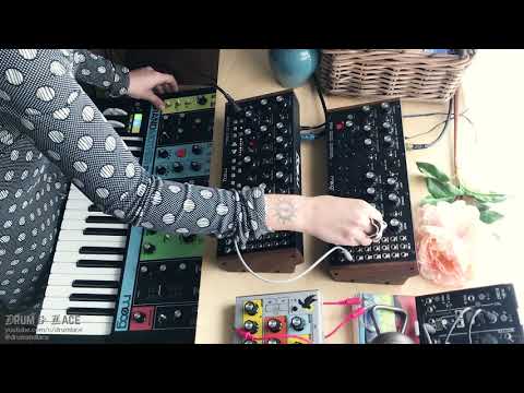 Moog Family Affair (live improv feat DFAM // Mother32 // Grandmother)