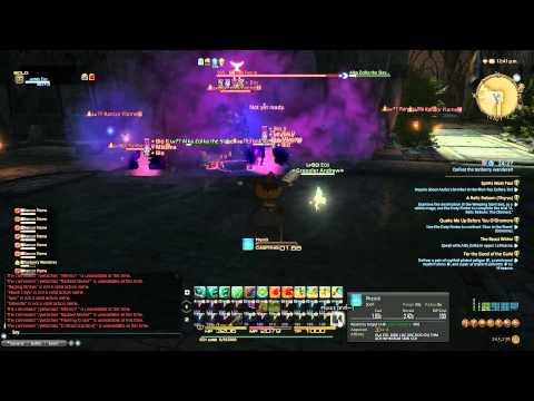 Final Scholar Level 50 Job Quest FFXIV Online The Beast Within Flying Colors With Grappler Andrew