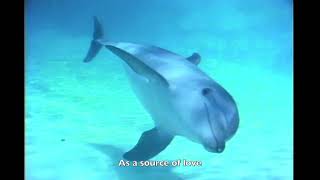 Olivia Newton-John - The Promise (The Dolphin Song, 1981) | One World With Olivia Newton-John