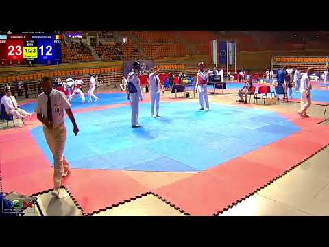 619 74kg  SENIORS MALE BOGDAN STEFAN S ROU VS KANARIOU A GRE 20 41