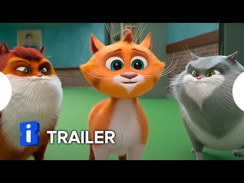 Gatos no Museu - Trailer
