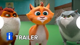 Trailer Preview Image