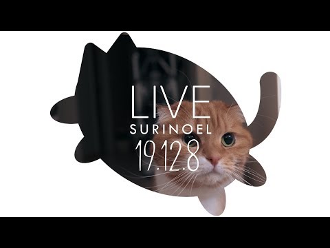 download lagu mp3 mp4 Surinoel, download mp3 Surinoel free download mp3, download mp3 Surinoel