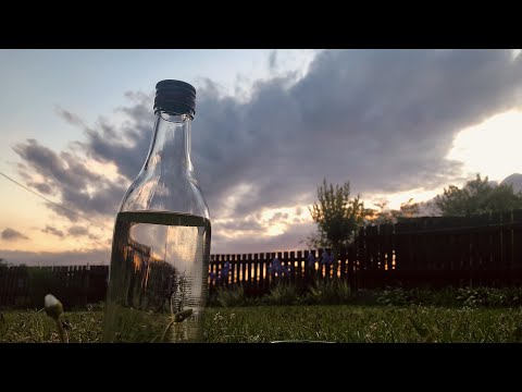 MORAVIAN BASTARDS - Slivovitz (OFFICIAL VIDEO)