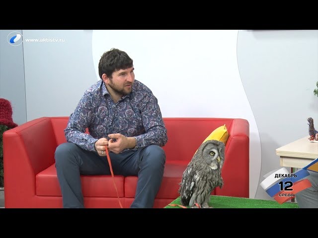 Гость программы «Новый день»:  Михаил Кабаков