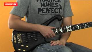 Video thumbnail for Warwick Stuart Zender Signature (Marek Haruštiak) by muzikustv