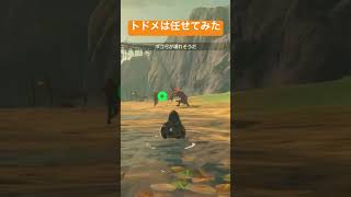 【#ゼルダの伝説ティアーズオブザキングダム 】トドメは任せてみた