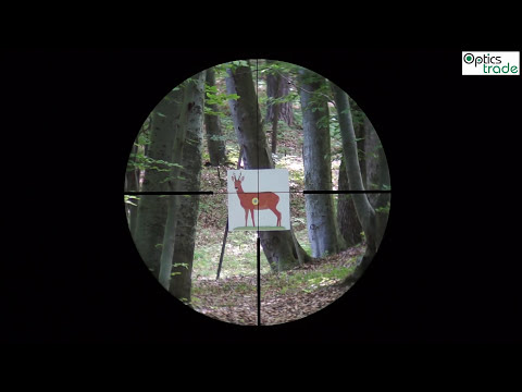 Zeiss Conquest V6 2-12x50 reticle 60 | ReticleSubtensions