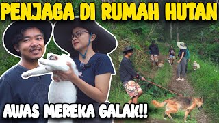 Download lagu KUCING PRESIDEN ADA DIRUMAH HUTAN😍⁉️ mp3