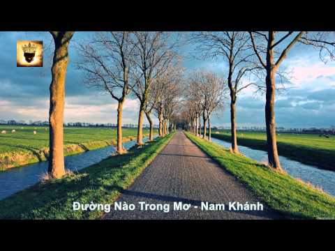 ĐƯỜNG NÀO TRONG MƠ