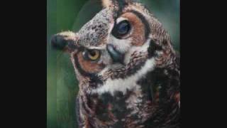 AM Hear Me Sing Video Contest