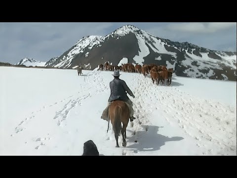 Colono en Tierra del Fuego